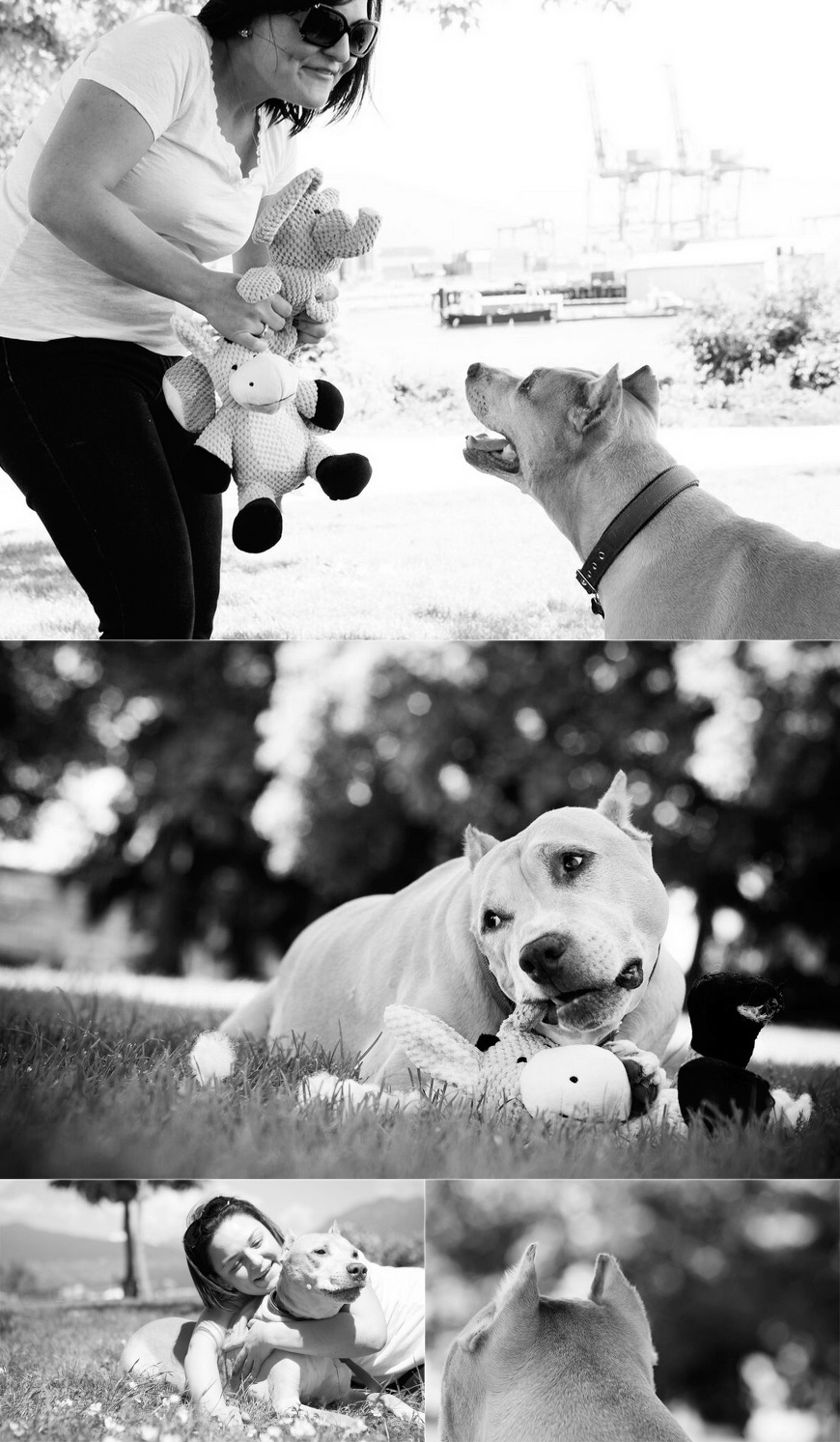 dog photoshoot black and white vancouveer